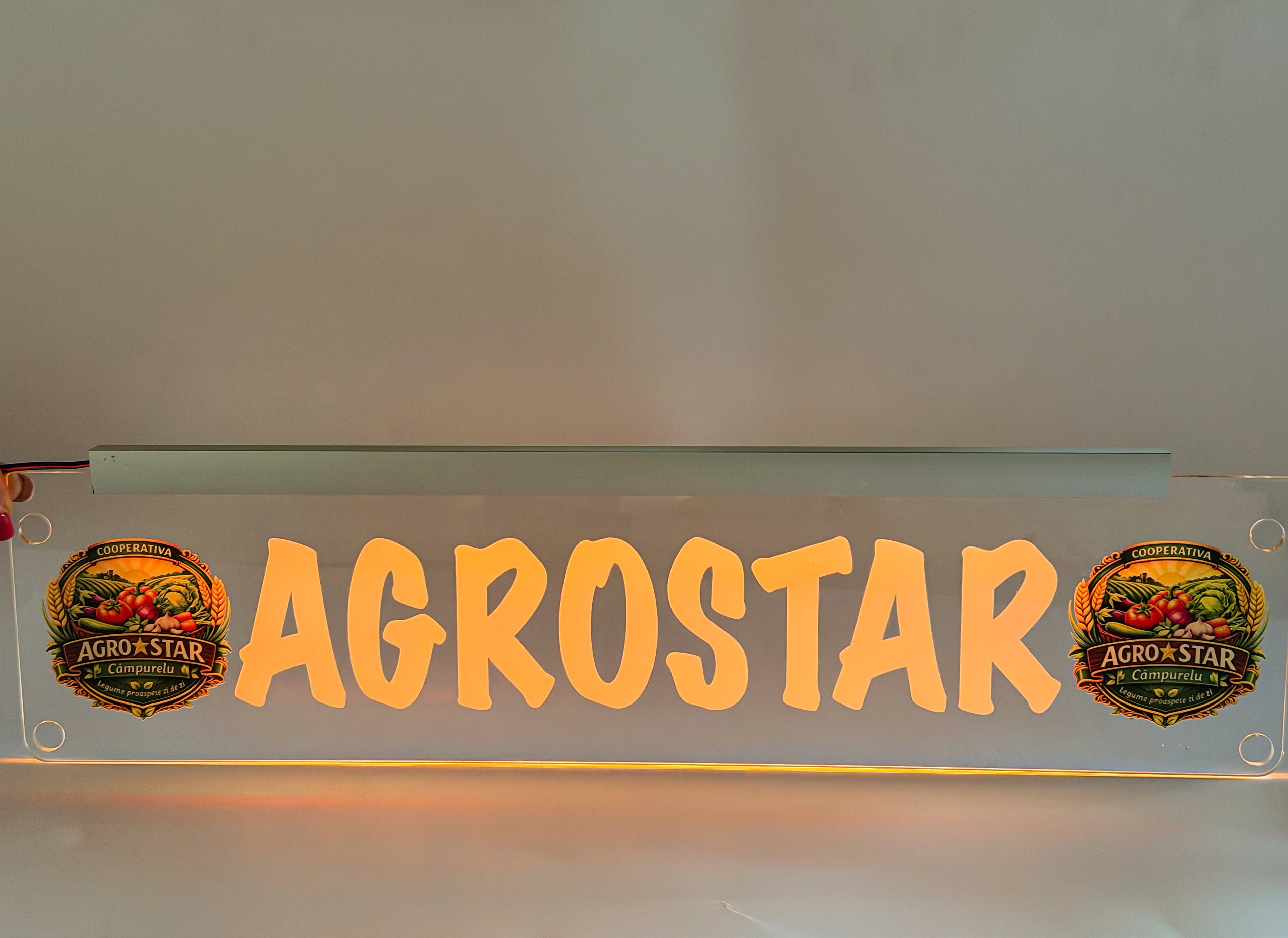 Plăcuta LED 3D - Pentru Firme cu LOGO