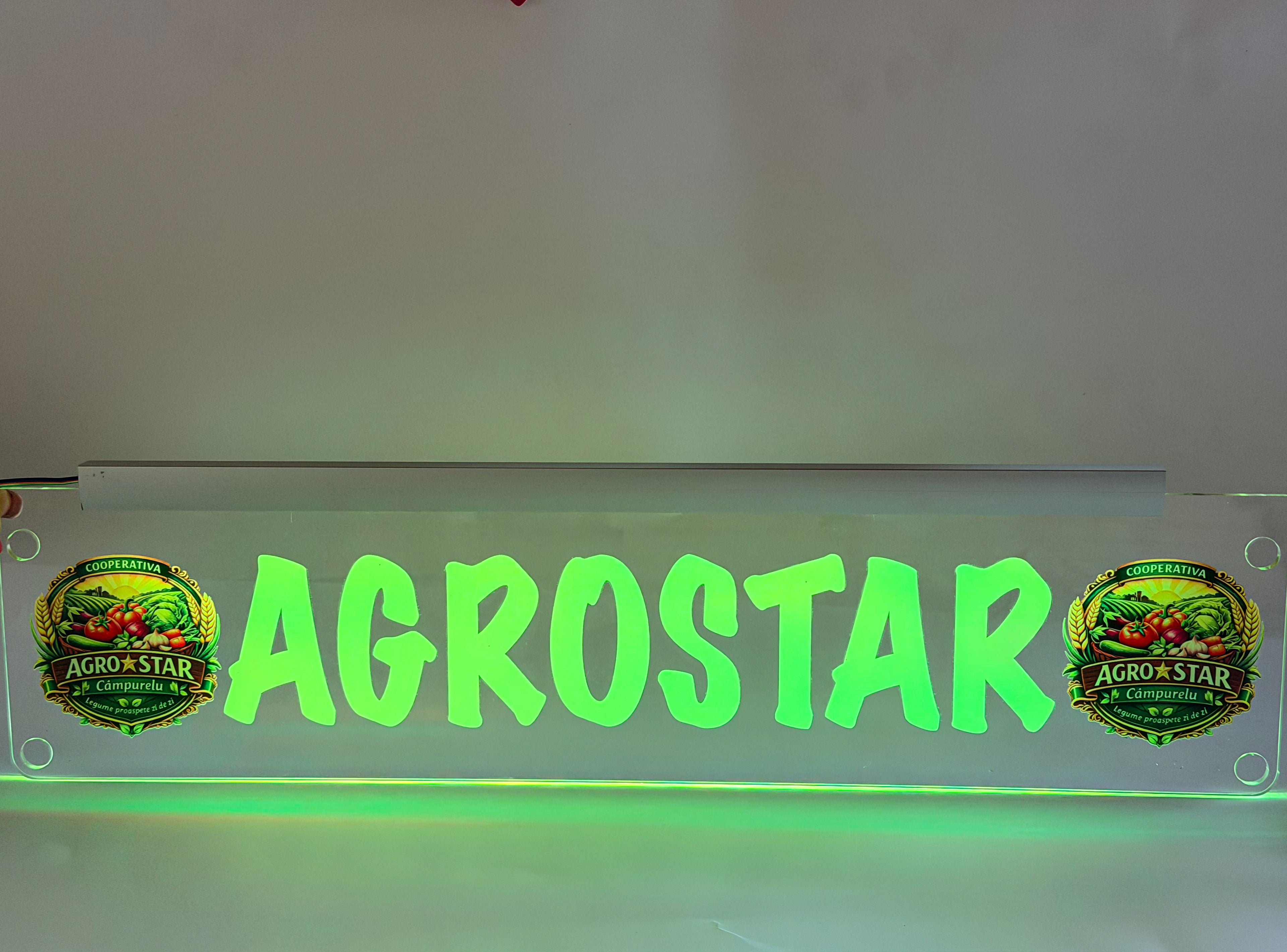 Plăcuta LED 3D - Pentru Firme cu LOGO