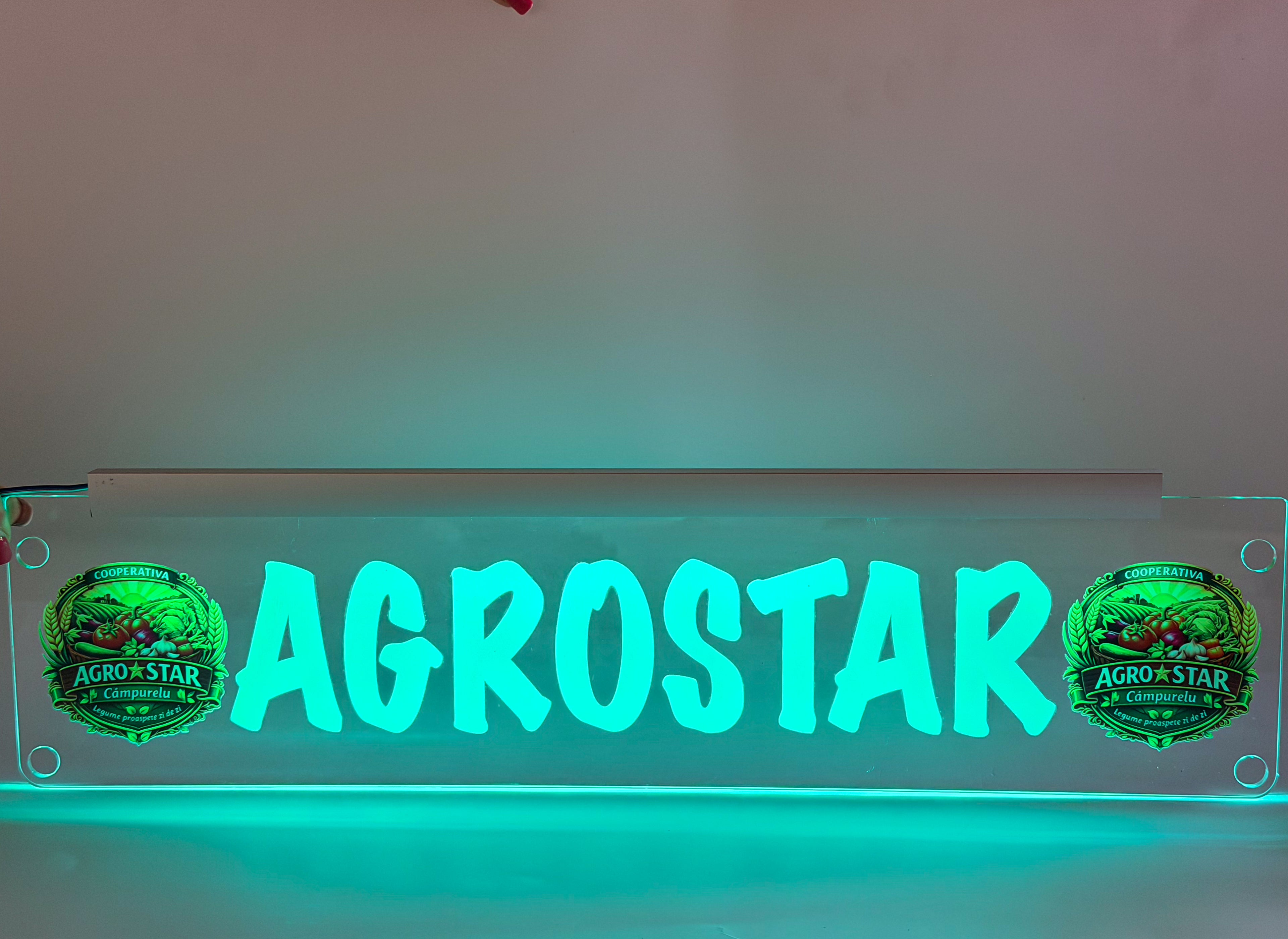 Plăcuta LED 3D - Pentru Firme cu LOGO