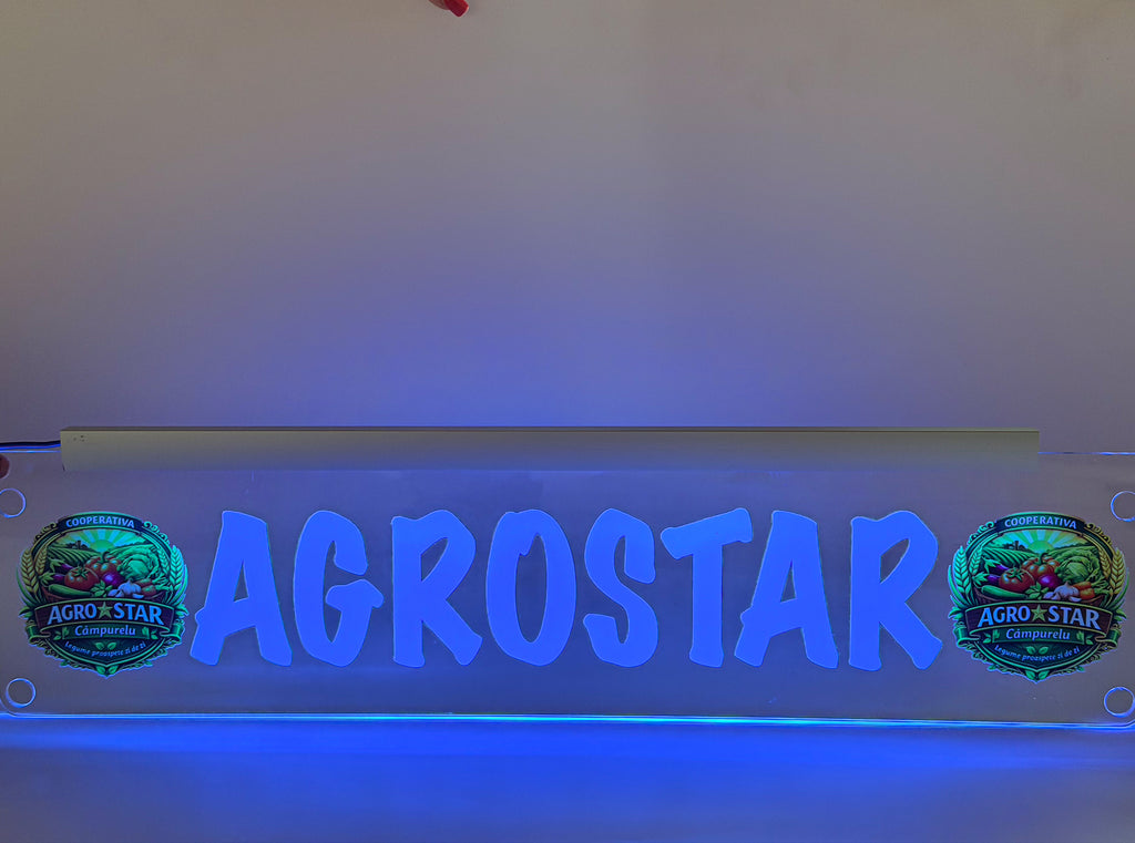 Plăcuta LED 3D - Pentru Firme cu LOGO