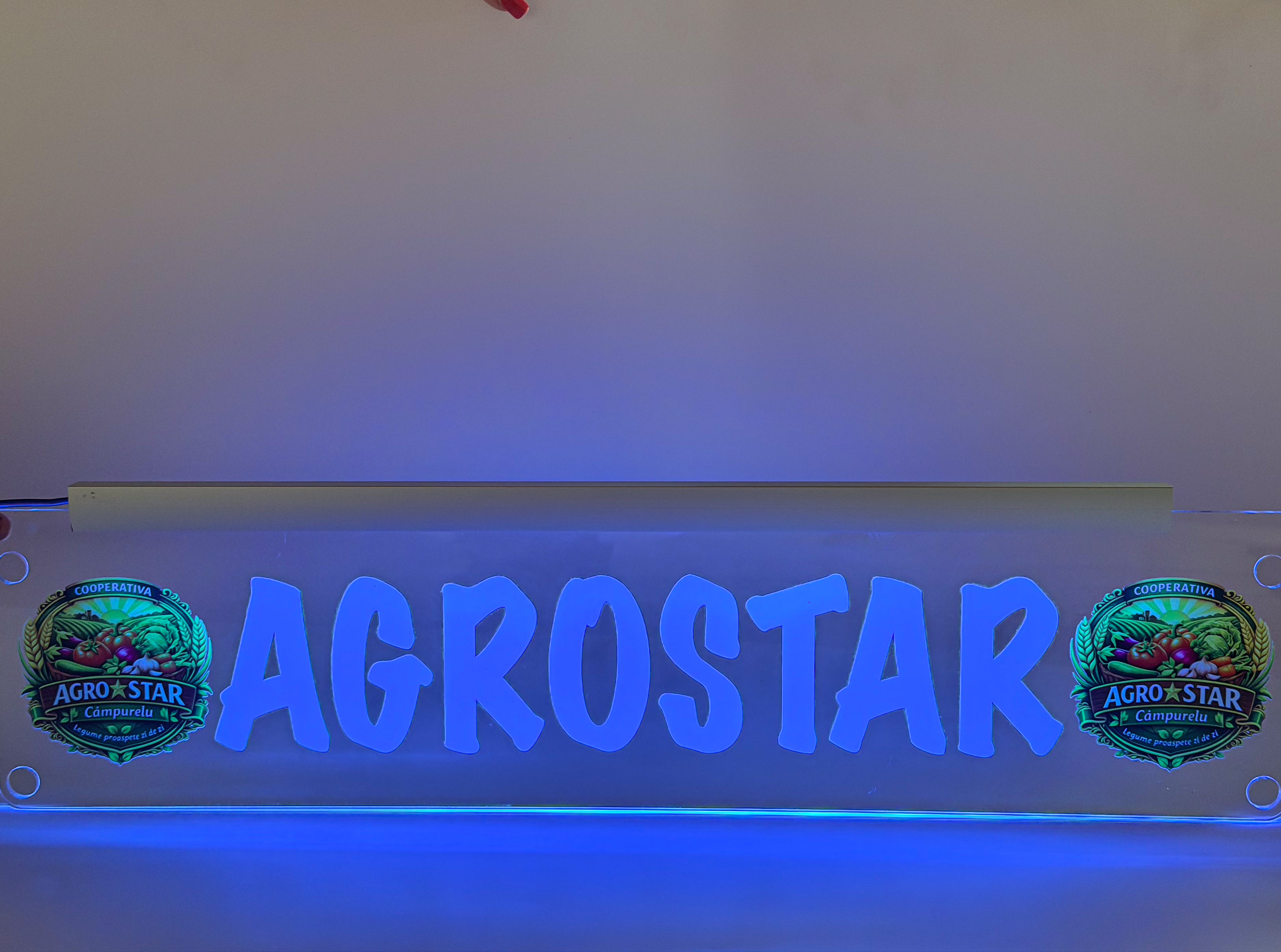 Plăcuta LED 3D - Pentru Firme cu LOGO
