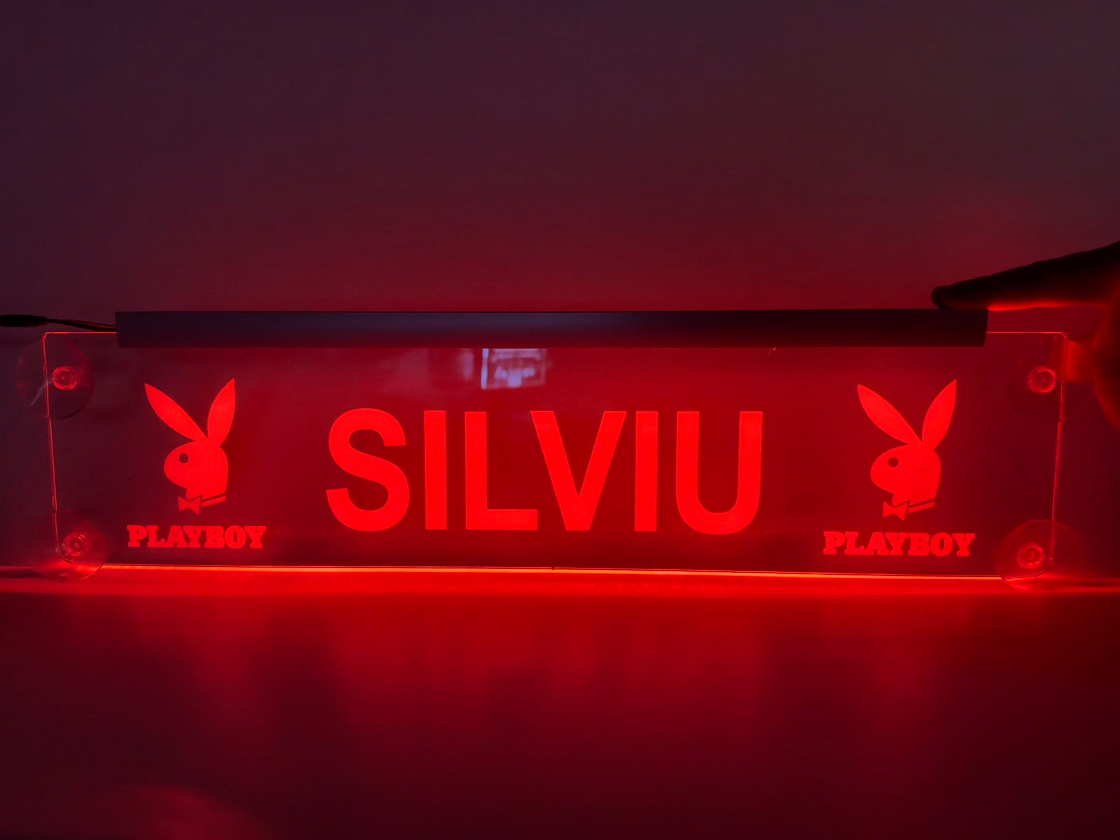 Plăcută LED 3D TIR - Playboy