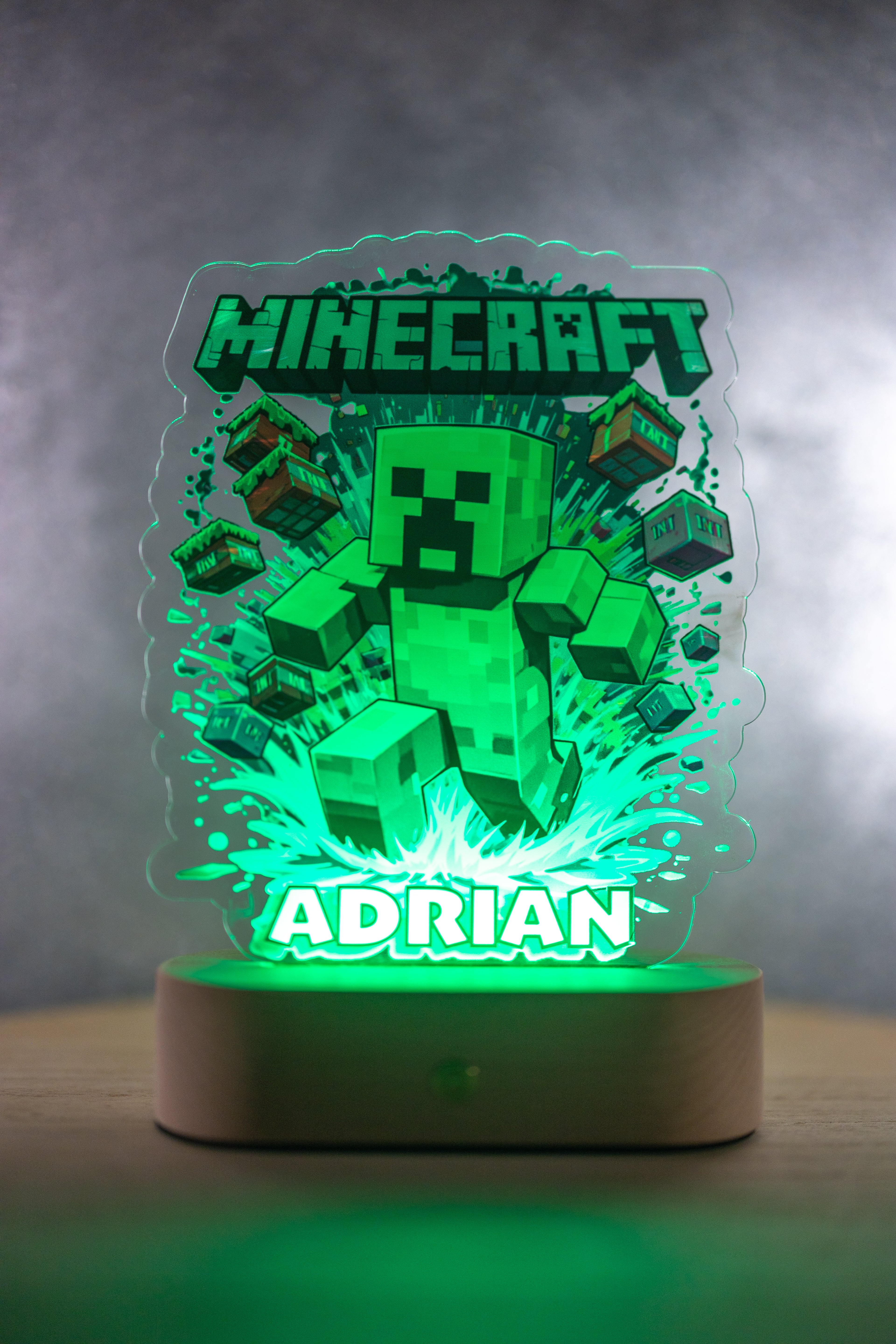 Decorațiune LED - 3D - MINECRAFT